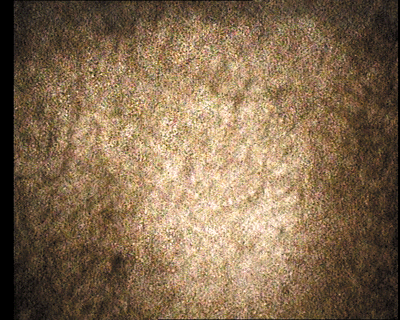 02.gif