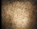 02.gif