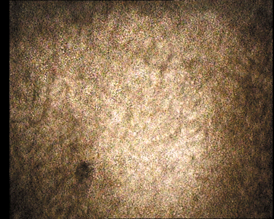 03.gif