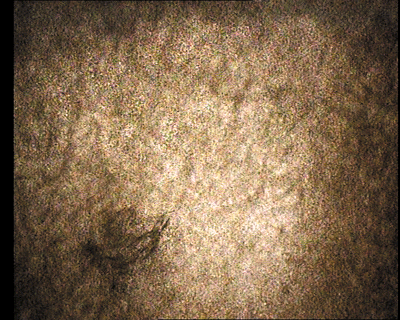 04.gif