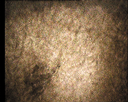 06.gif