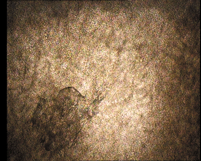 07.gif