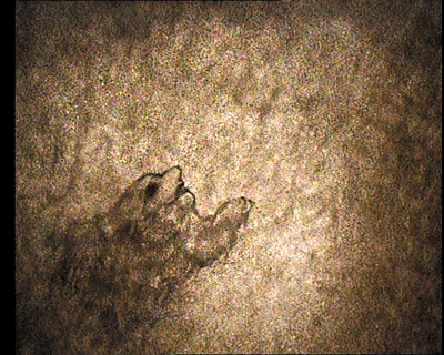 08.gif
