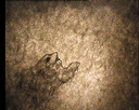 08.gif