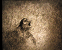 09.gif