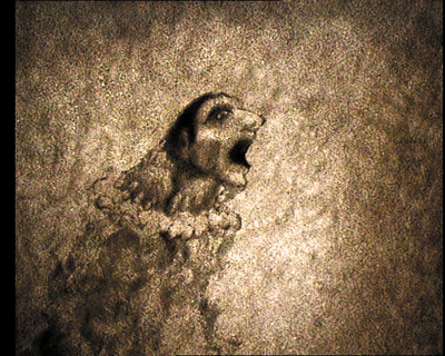 11.gif