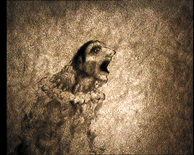 12.gif