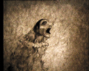 12.gif