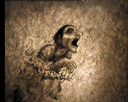 13.gif