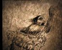 19.gif