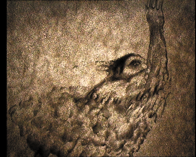 20.gif