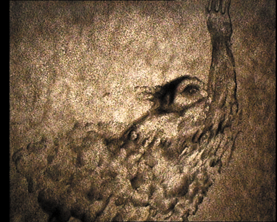 21.gif