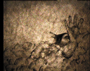 27.gif