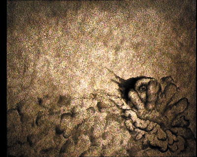 28.gif