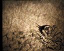 28.gif