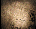 38.gif