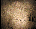 39.gif