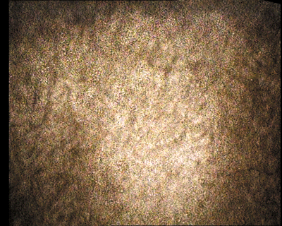 45.gif