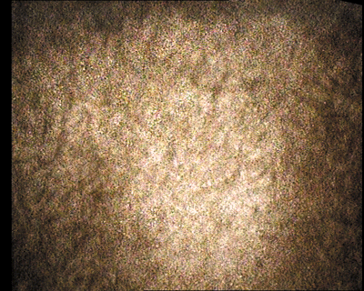 46.gif