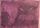 Placa05.gif
