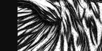 histoire_pl051.0049.gif