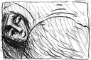 61.gif