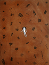 Alice10.gif