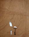 Alice11.gif